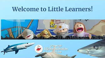 Little Learners Learn SHARKS!