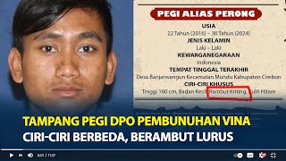 Tampang Pegi Setiawan DPO Pembunuhan Vina Cirebon, Ciri-Ciri Berbeda, Berambut Lurus