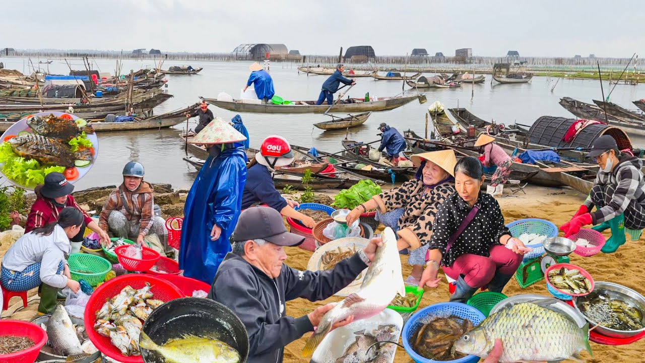 Đầm Chuồn Huế Tôm Đất Cá Dày║Độc Đáo Món Bánh Xèo Cá Kình Chợ Chuồn