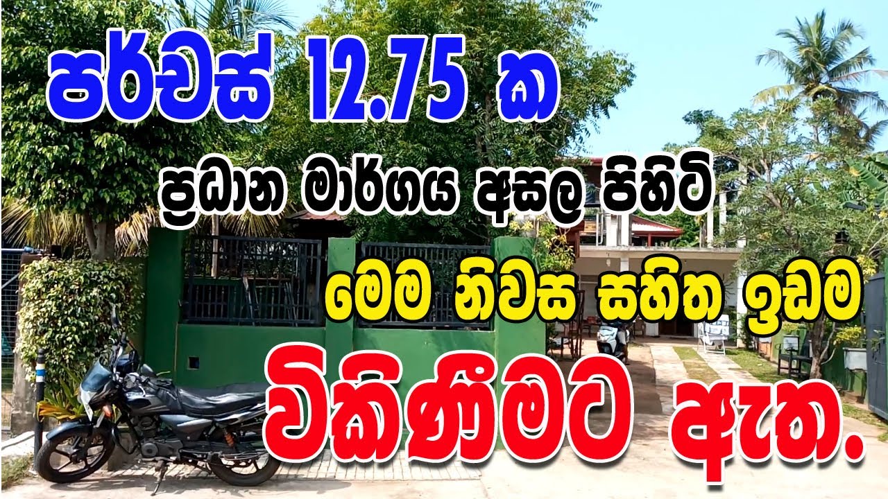 Land sale in Sri Lanka | Land sale in Gampaha District | Land Sale in Seeduwa