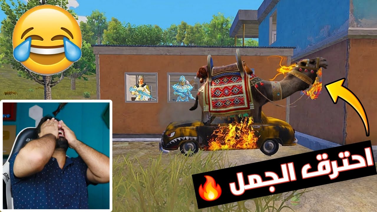 اغرب واجمل لقطات ببجي تموت ضحك 🤣 شاهد رد فعلي على اغرب مقاطع ببجي جديدة واسطورية #الجزء221