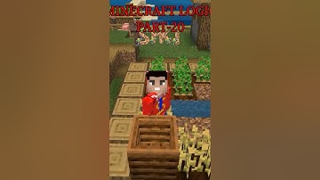 MINECRAFT LOGIC THAT DON