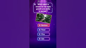 5 Quiz Questions Only Geniuses Can Answer – Are You Up for the Challenge?