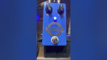 PedalPCB Mantle fuzz (MXR Blue box clone)
