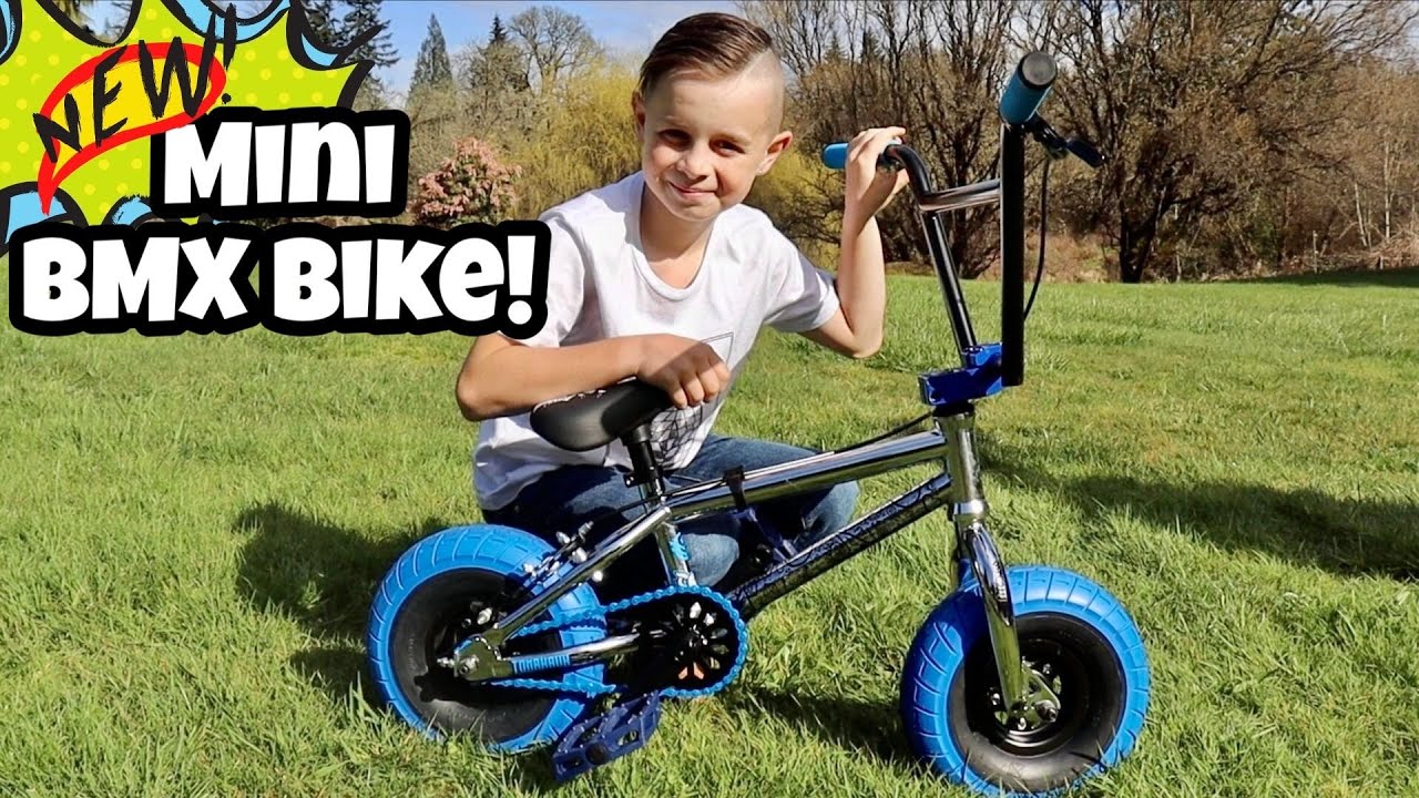 Triatleet wet analyseren I Got a New Mini BMX Bike! - YouTube