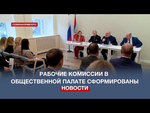 НТС Севастополь: В Севастополе завершилось формирование рабочих комиссий Общественной палаты