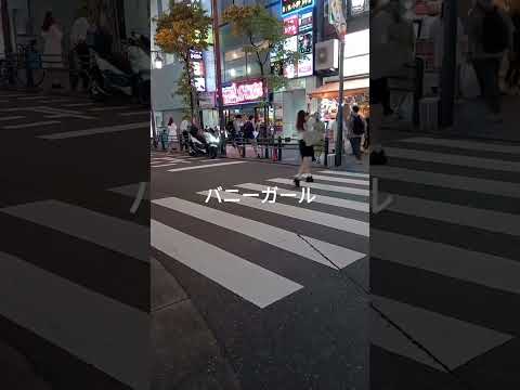 バニーガール　ヤバい❤