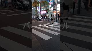 バニーガール　ヤバい❤