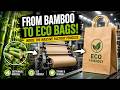 How Bamboo Turns Into Eco Friendly Paper Bags In Massive Factories