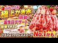 🍓ふわっふわ極上かき氷に感動！誕生日デザートも豪華すぎる🎂✨ココスはファミレススイーツNo.1かも！
