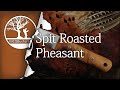 Bushcraft Cooking Pheasant over a Campfire