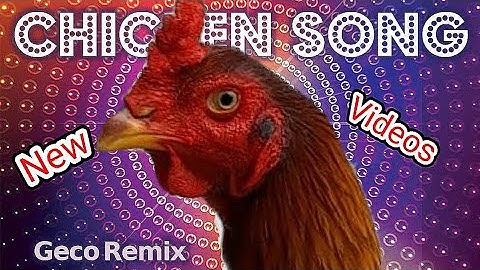 J.Geco - Chicken Song  ( 999× )