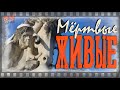 Мёртвые и живые. Война и мир. Пронзительно-красивое кладбище. До мурашек…