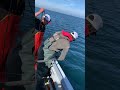 Halibut Fishing Homer Alaska.  How to get a halibut 100lbs or more in the boat safely.