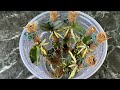 Simple method! Just water! Orchid cuttings will sprout and grow healthily.