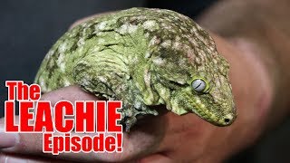 The LEACHIE Episode!