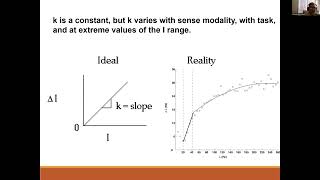 EXP3204 Psychophysics Part 3