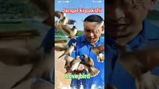 Jungle Bird Trusts Me ❤️🐦 #youtubeshorts