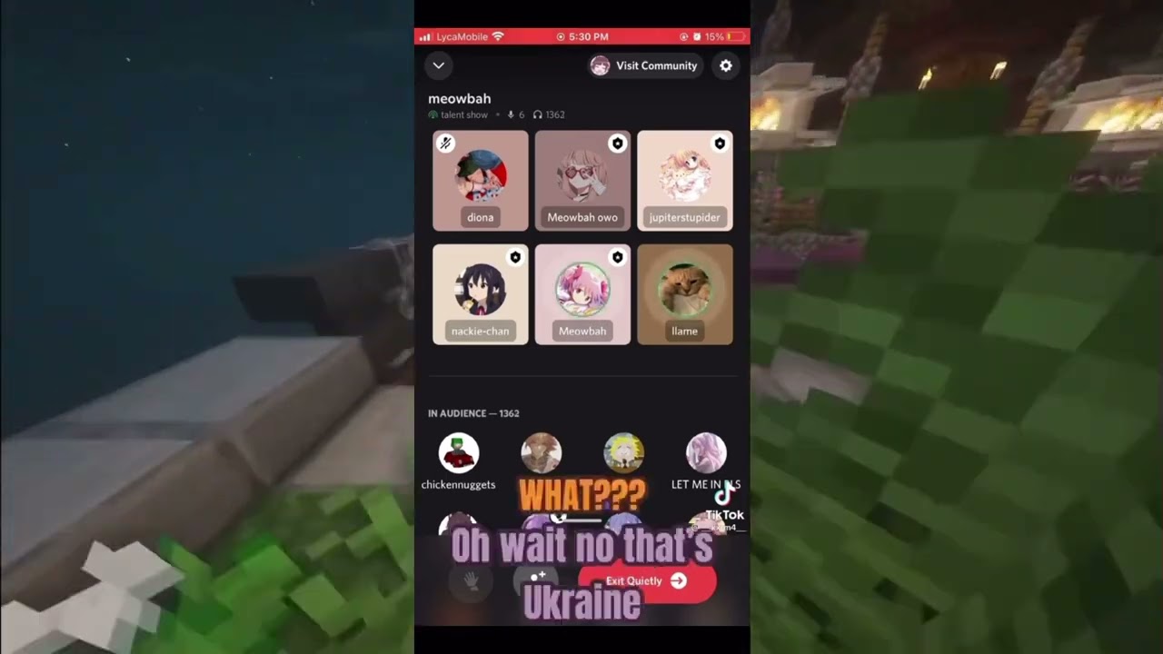 Meowbah being rude in comments *+ meowbah discord talent show*