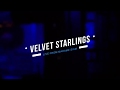 Velvet Starlings "Live" From Madam Siam