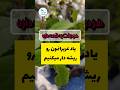 🌱 هر درخت، یک دوست 🌳 | هدیهای 🎁 سبز به زمین 🌍