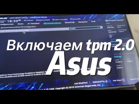 Video: Li Cas Los Nyem Qhov Asus PDA