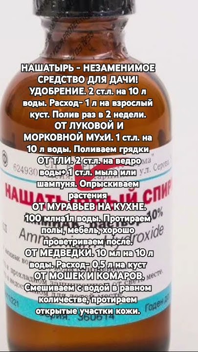 НАШАТЫРЬ - НЕЗАМЕНИМОЕ. СРЕДСТВО ДЛЯ ДАЧИ! - YouTube