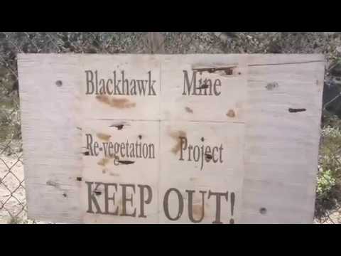 Black Hawk mine, snakes, bee’s, in Lucerne Valley
