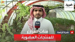 السعودية.. 400 مزرعة للمنتجات العضوية