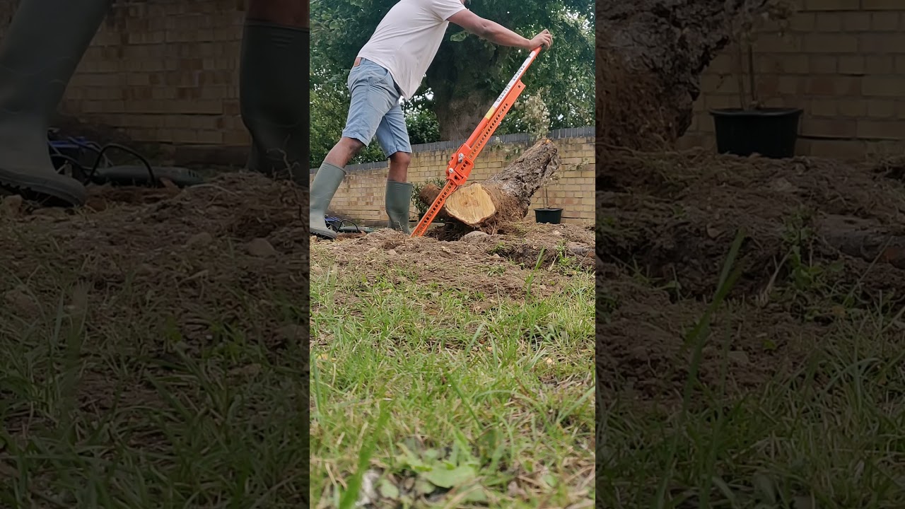 Removing Tree Stump using a Forest Master Farm Jack - YouTube