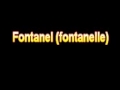 What Is The Definition Of Fontanel fontanelle - Medical Dictionary Free Online