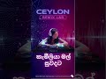 සින්ඩරෙල්ලා | Sinderella | #coversong #love #sinhalasongs #sinhalaoldsong #dj #remix