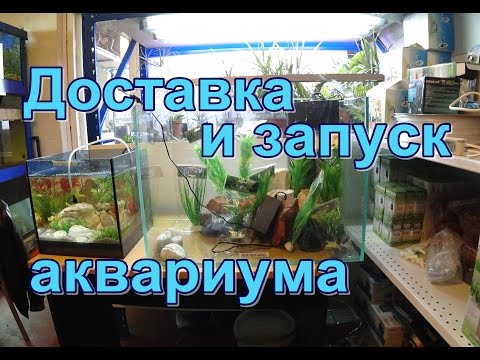 Доставка и запуск аквариума фирмы