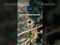 Colour Grading tutorial in LR. Subscribe for more. #tutorial #shorts #lr