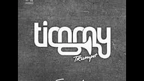 Freaks - Timmy Trumpet ft. Savage (Lyrics)