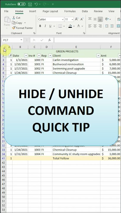 Excel short: how to hide and unhide rows or columns