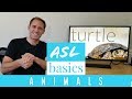 ASL Basics - Learn How to Sign 13 Animals in American Sign Language - ASL