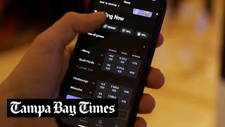 Florida rivals ask courts to stop online sports gambling off tribal lands by Tampa Bay Times 210 views 2 months ago 1 minute, 32 seconds