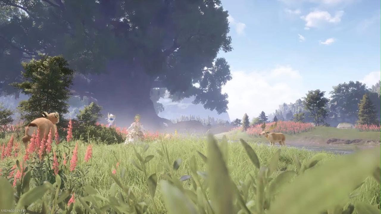 Infinity Nikki | Its Time To Wake up