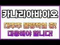 카나리아바이오, 최대주주 매도? 이건 또 무슨 일인가요!!