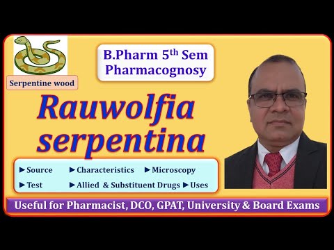 Video: Rauwolfia - Beneficial Properties And Uses Of Rauwolfia Snakes, Rauwolfia Alkaloid. Rauwolfia Snake