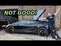 You wont believe what theyve done to this lamborghini gallardo 