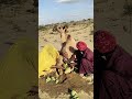 بسبب شدة الحرارة تدهورت حالة الجمل المزارع وزوجته يبتكران طريقة تقليدية لتبريده كأنه ثلاجة
