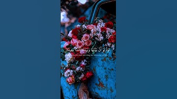 يوم تجد كل نفس ما عملت من خير محضرا  #سورة_ال_عمران #الشيخ_سيد_سعيد #explore #fyp