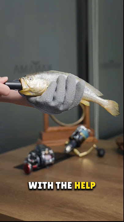Smart Bait Device 😲