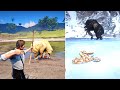 RDR2 All Animals Attack - [Main Animal/Event] | Epic Wild Moments"Ep.26