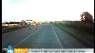 Автохам: забывчивые пешеходы и велосипедисты Автохам: забывчивые пешеходы и велосипедисты