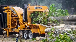 Incredible Most Powerful Wood Chipper in Working - Fastest Giant Tree Shredder