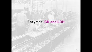 Enzymes CK and LDH - clinical chem lab tests review