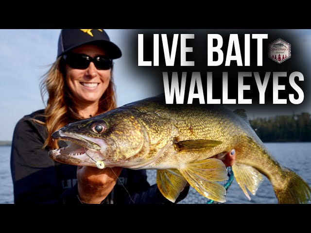 NEW BAIT Smashes Giant Crappies!! (Shallow Water Tips) 